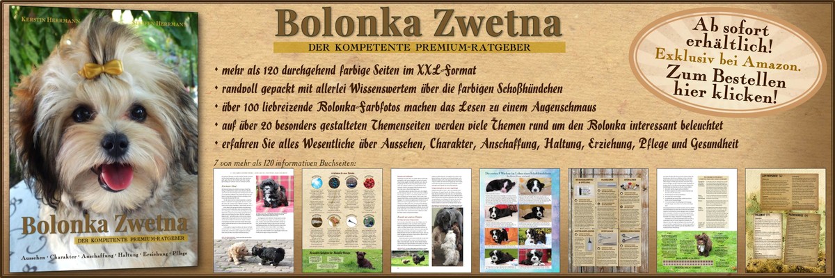 Bolonka Zwetna - Der kompetente Premium-Ratgeber