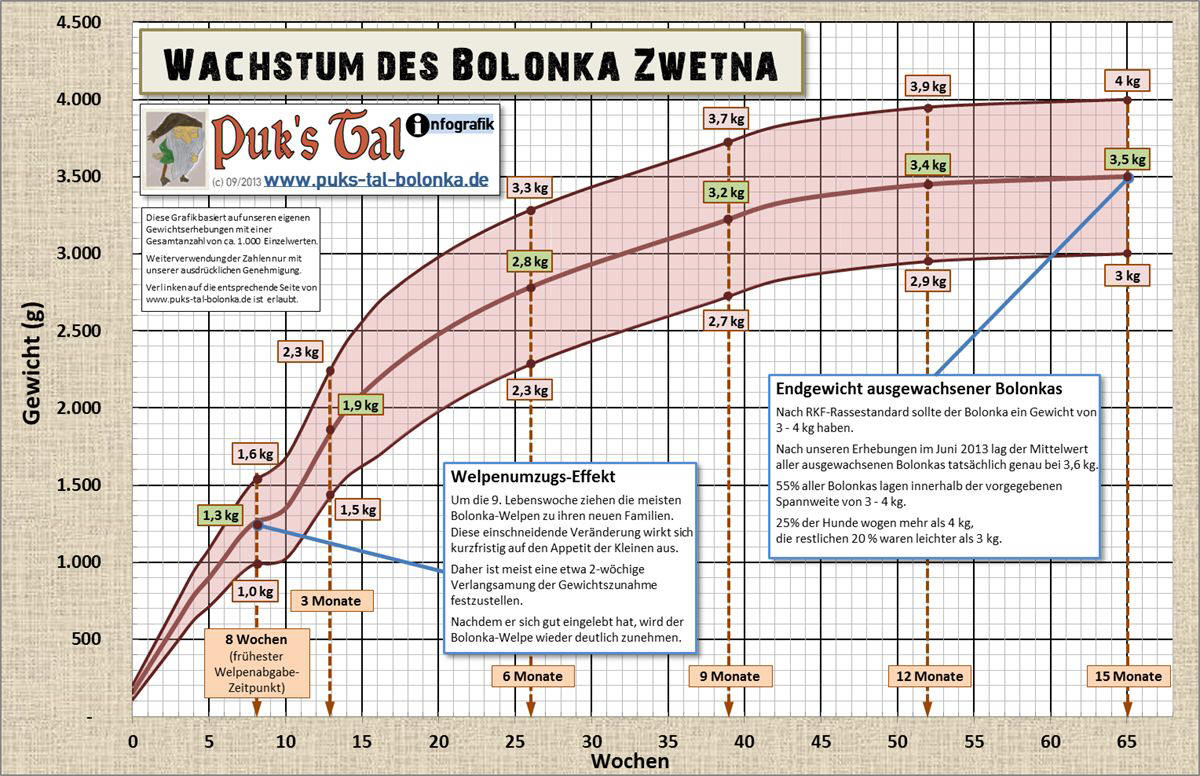 Gewichtsentwicklung Bolonka Zwetna