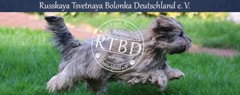 RTBD Russkaya Tsvetnaya Bolonka Deutschland e. V.