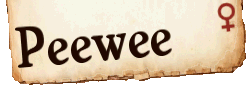 Peewee Namensschild