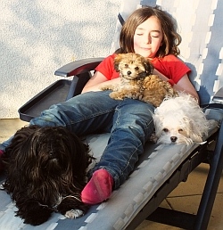 Mädchen auf Liegestuhl mit Bolonka Zwetnas