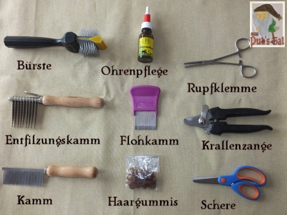 Pflegeutensilien für Bolonkas - Bürste, Ohrenpflege, Rupfklemme, Entfilzungskamm, Flohkamm, Krallenzange, Kamm, Haargummis, Schere